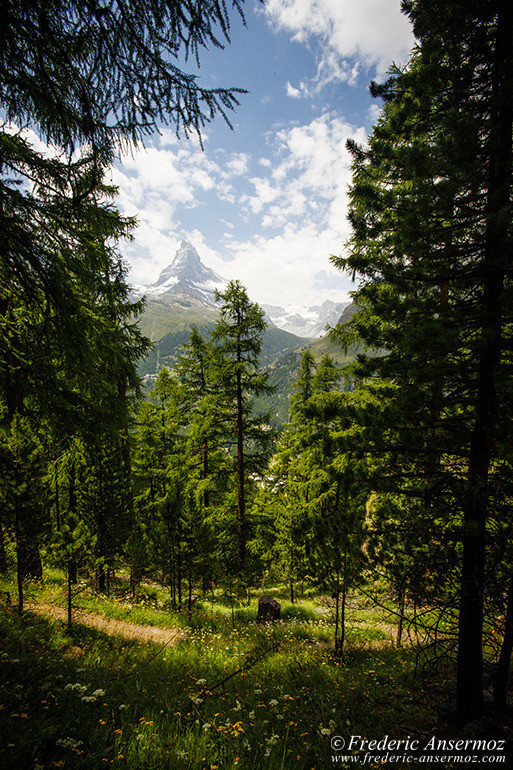 Zermatt switzerland 09