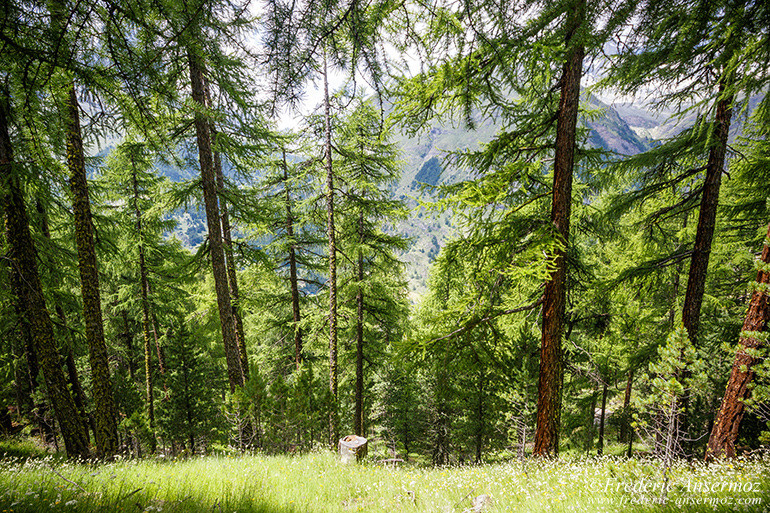 Zermatt switzerland 11