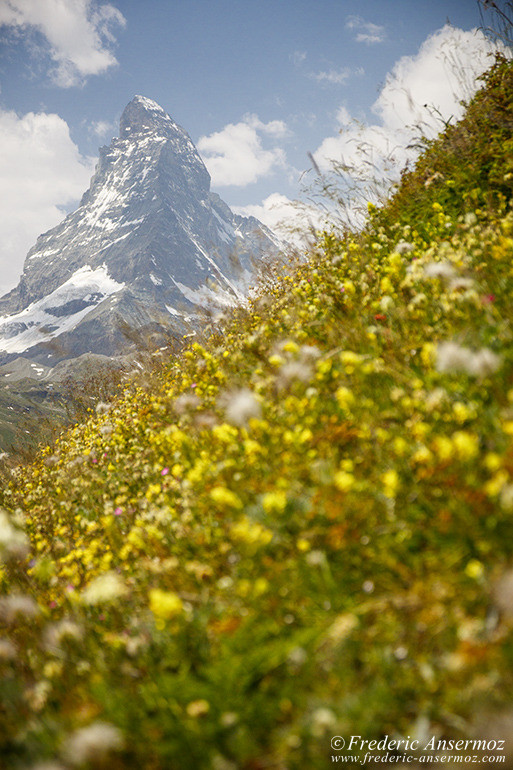 Zermatt switzerland 12