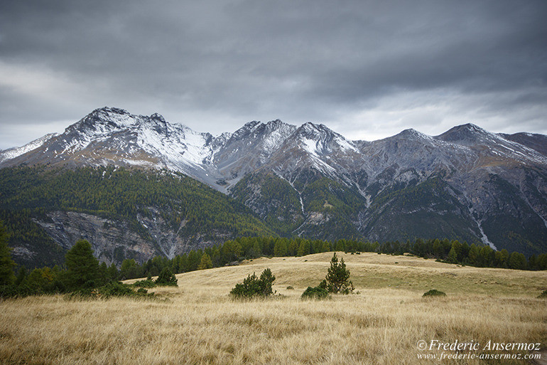 Zernez munt la schera 02