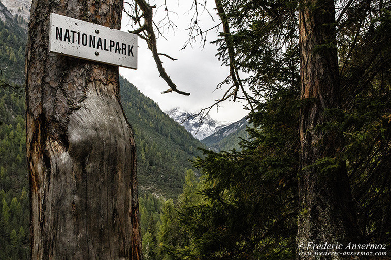 Zernez national park 01