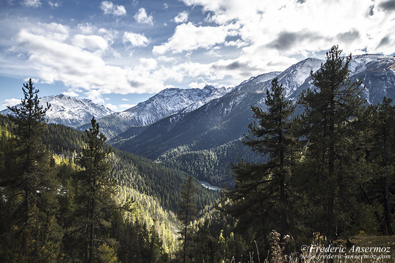 Zernez national park 13