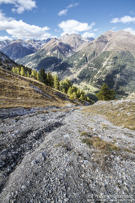 Zernez national park 18