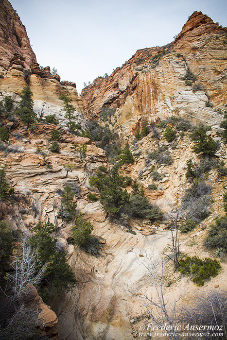 Zion park 1061