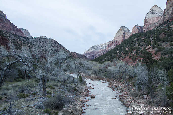 Zion park 1143