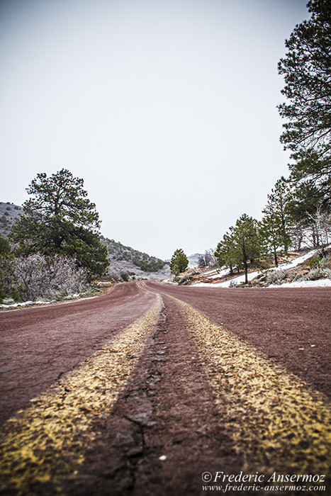 Zion park 1198