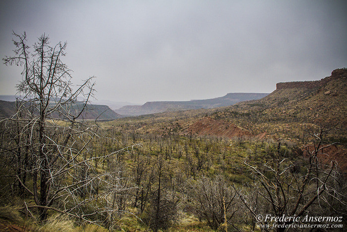 Zion park 1222