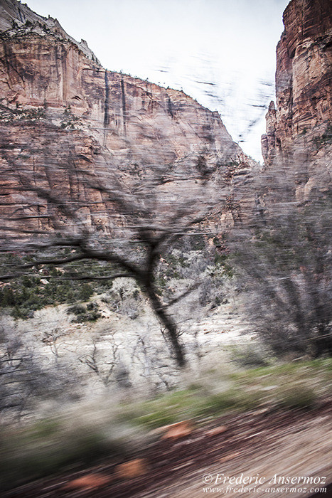 Zion park 1736