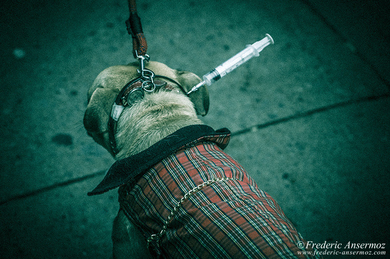 Zombie walk montreal 13